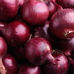 ONION RED (LB)