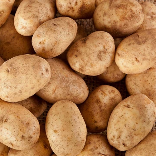 POTATO 10LB